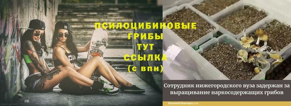 спиды Остров