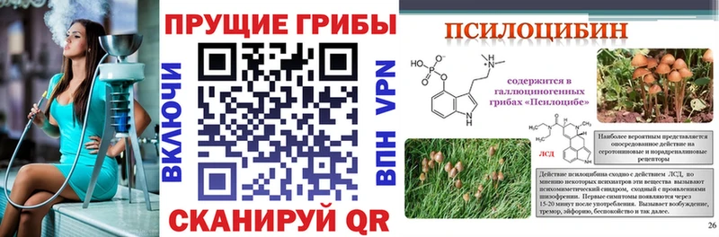 Псилоцибиновые грибы Magic Shrooms  Кольчугино 
