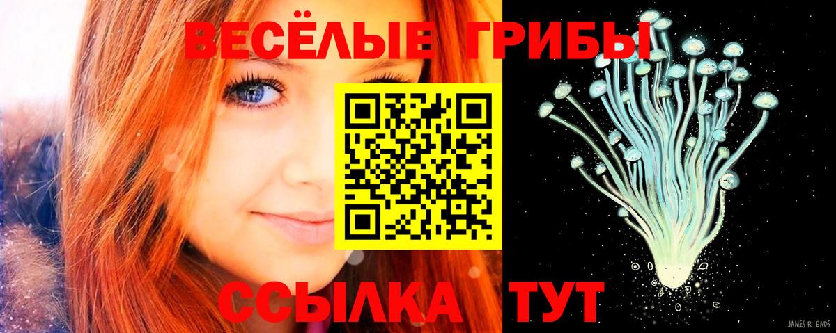 Псилоцибиновые грибы мицелий  Вход с VPN  Кольчугино 
